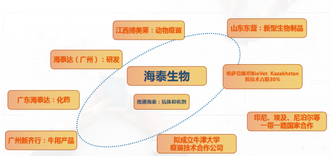 巅峰娱乐官网(中国)官方网站-登录入口